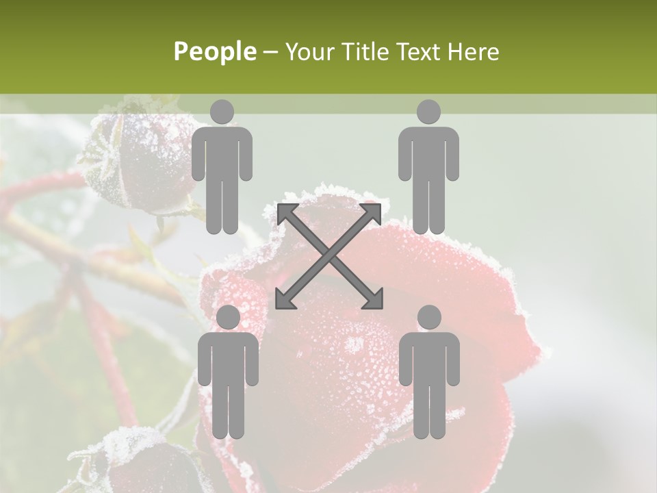 Nature Beauty Covered PowerPoint Template