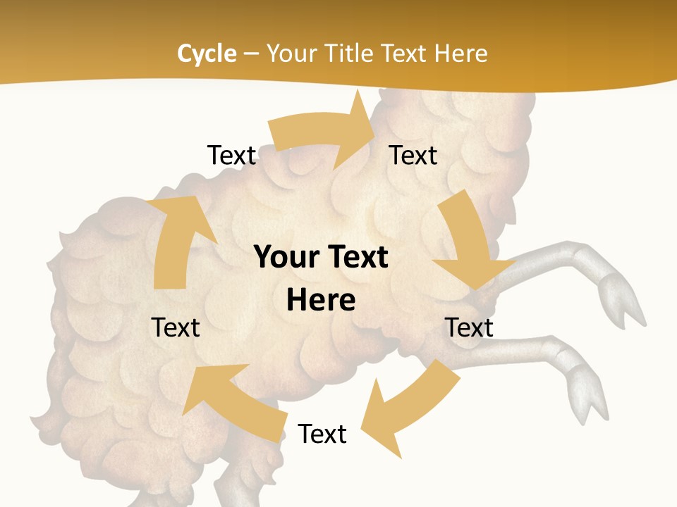 Horoscope Pisces Cancer PowerPoint Template