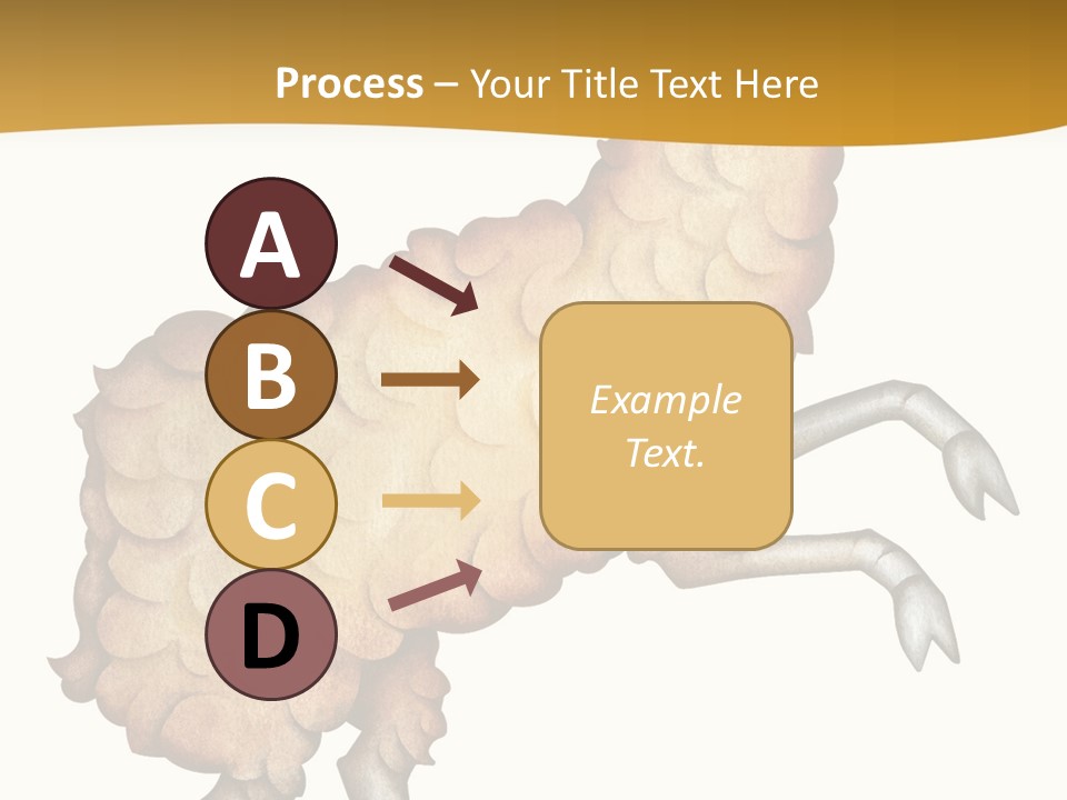 Horoscope Pisces Cancer PowerPoint Template