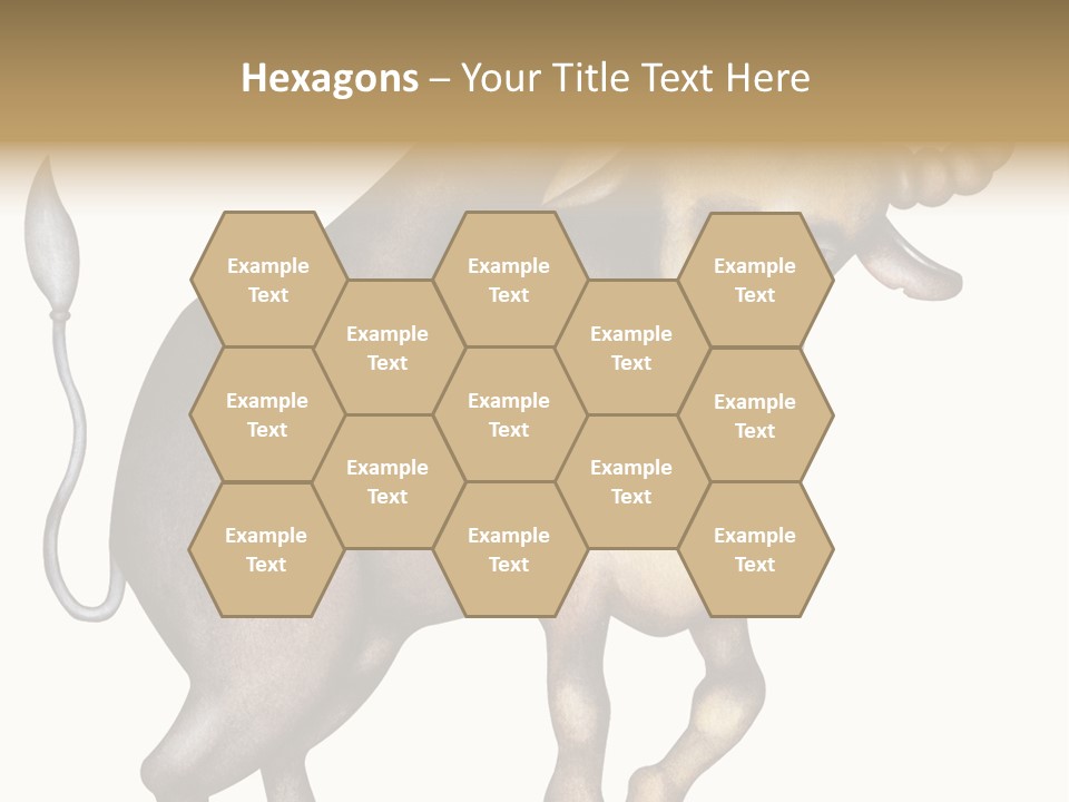 Taurus Virgo Cancer PowerPoint Template