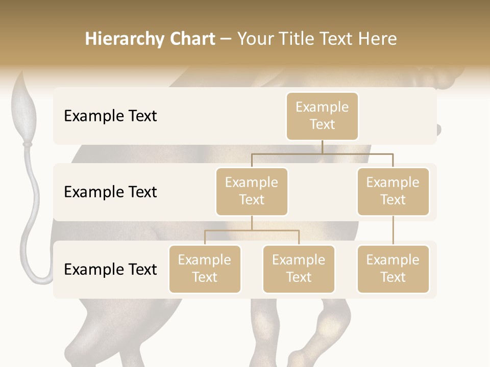 Taurus Virgo Cancer PowerPoint Template