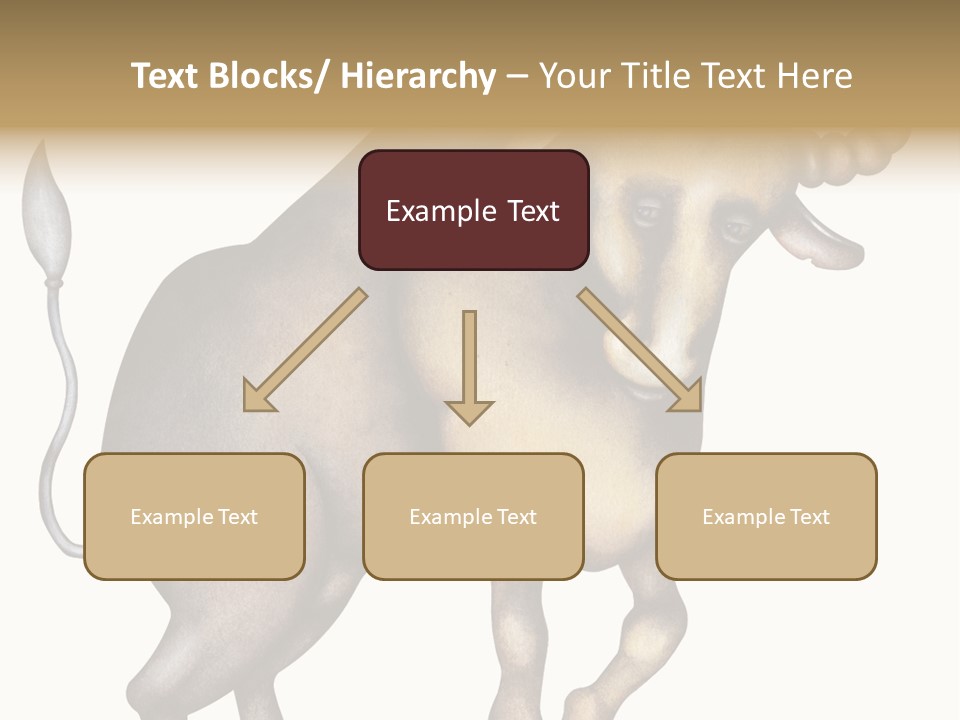 Taurus Virgo Cancer PowerPoint Template