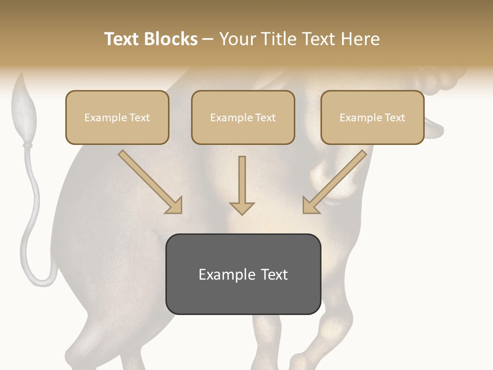 Taurus Virgo Cancer PowerPoint Template