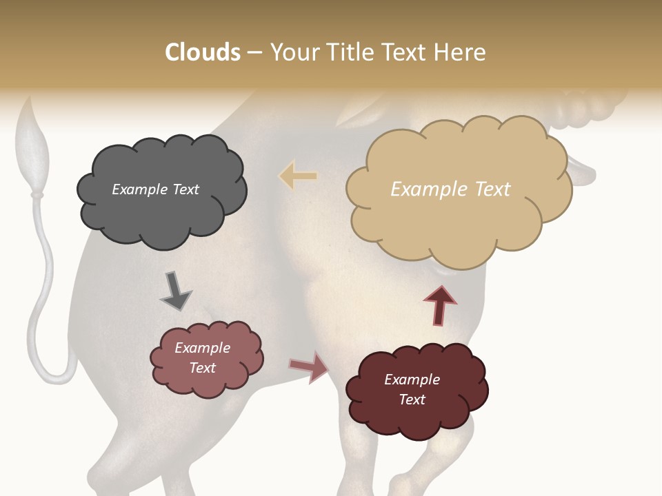 Taurus Virgo Cancer PowerPoint Template