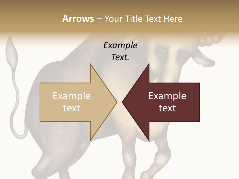 Taurus Virgo Cancer PowerPoint Template