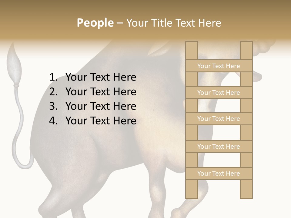 Taurus Virgo Cancer PowerPoint Template