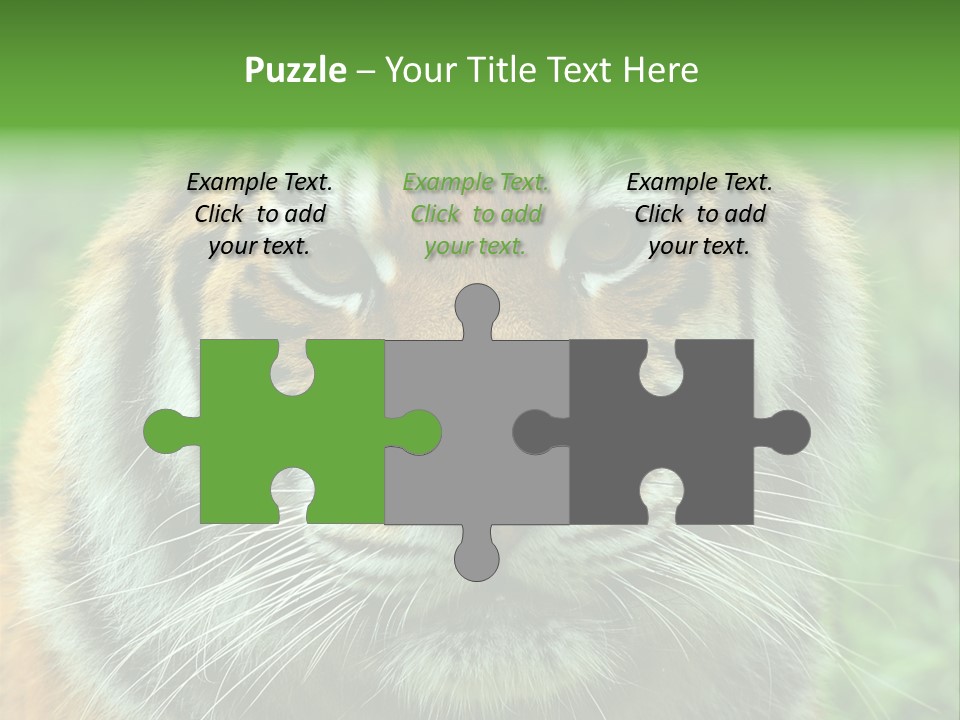 Anger Tree Safari PowerPoint Template