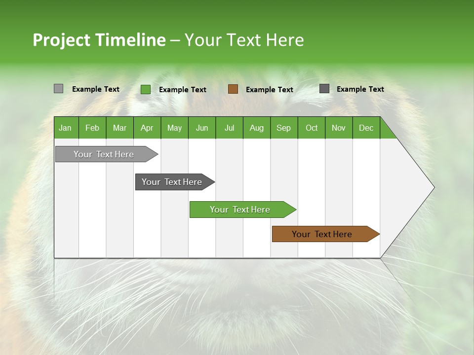 Anger Tree Safari PowerPoint Template