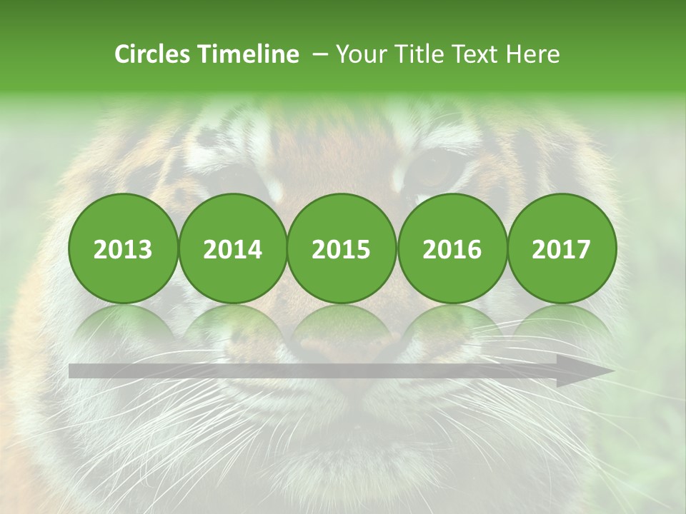Anger Tree Safari PowerPoint Template
