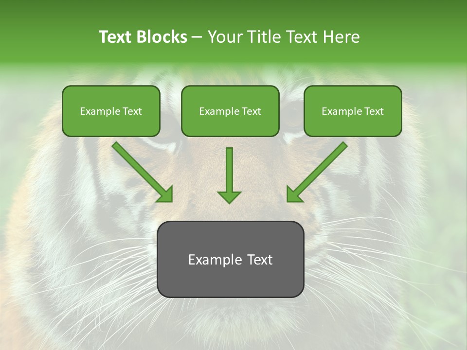 Anger Tree Safari PowerPoint Template