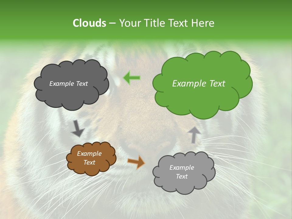 Anger Tree Safari PowerPoint Template