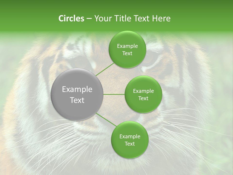 Anger Tree Safari PowerPoint Template