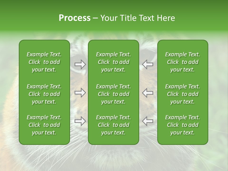 Anger Tree Safari PowerPoint Template