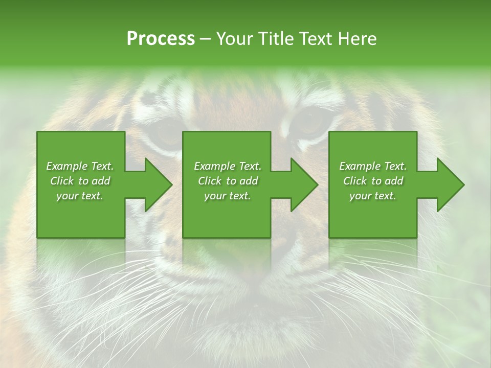 Anger Tree Safari PowerPoint Template