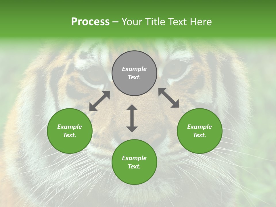 Anger Tree Safari PowerPoint Template