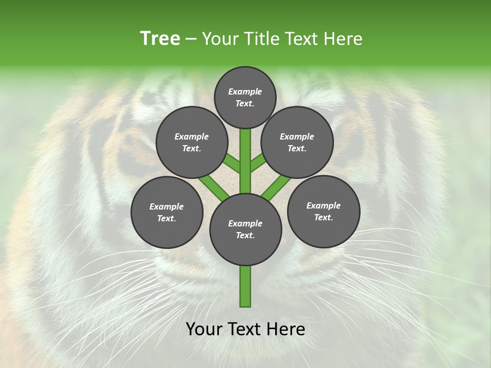 Anger Tree Safari PowerPoint Template