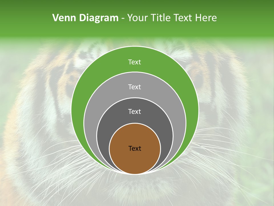 Anger Tree Safari PowerPoint Template