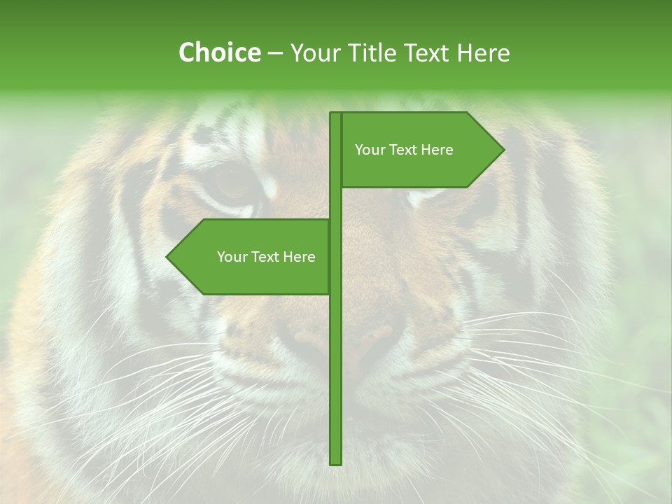 Anger Tree Safari PowerPoint Template