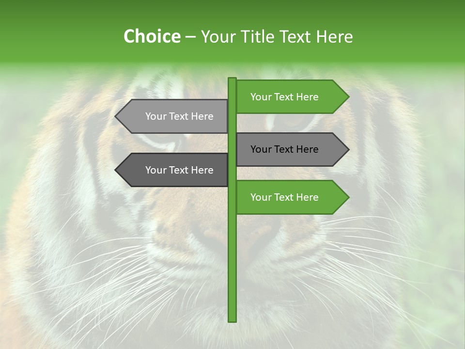 Anger Tree Safari PowerPoint Template