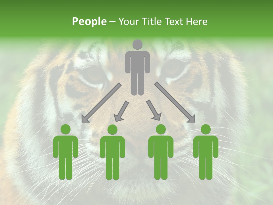 Anger Tree Safari PowerPoint Template
