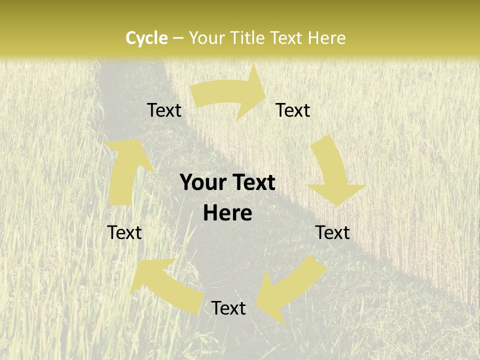 Patriotism Patriotic Green PowerPoint Template