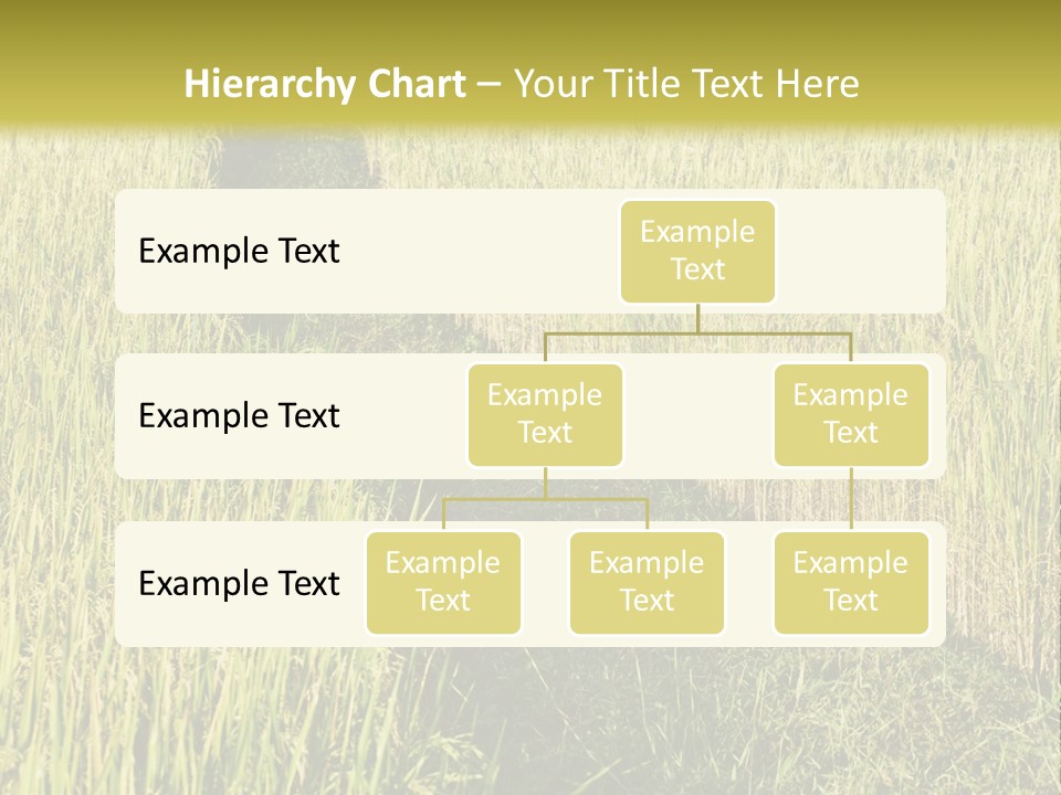 Patriotism Patriotic Green PowerPoint Template