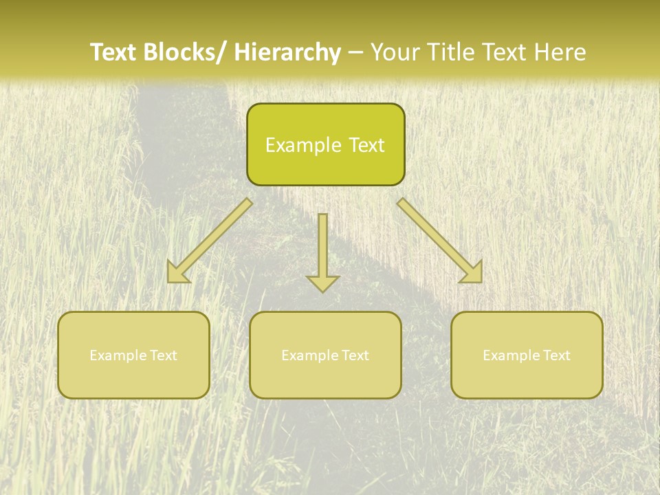 Patriotism Patriotic Green PowerPoint Template