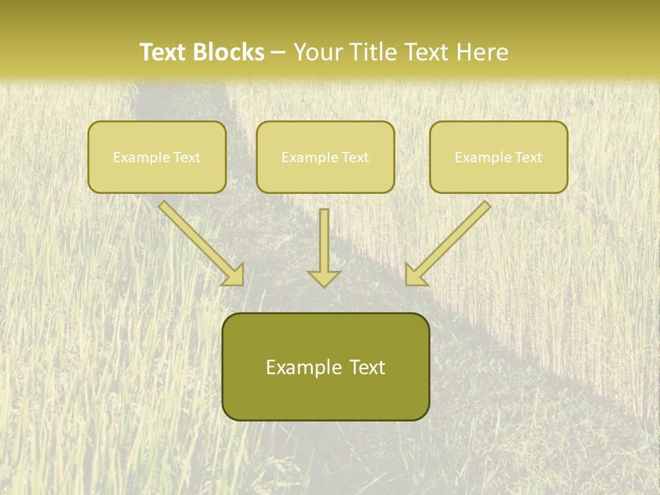 Patriotism Patriotic Green PowerPoint Template