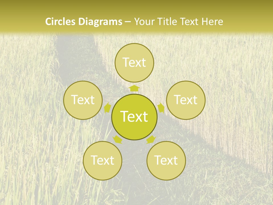 Patriotism Patriotic Green PowerPoint Template