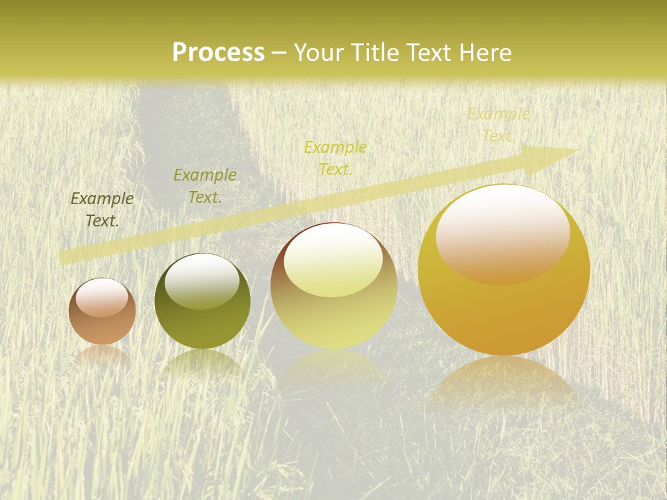 Patriotism Patriotic Green PowerPoint Template