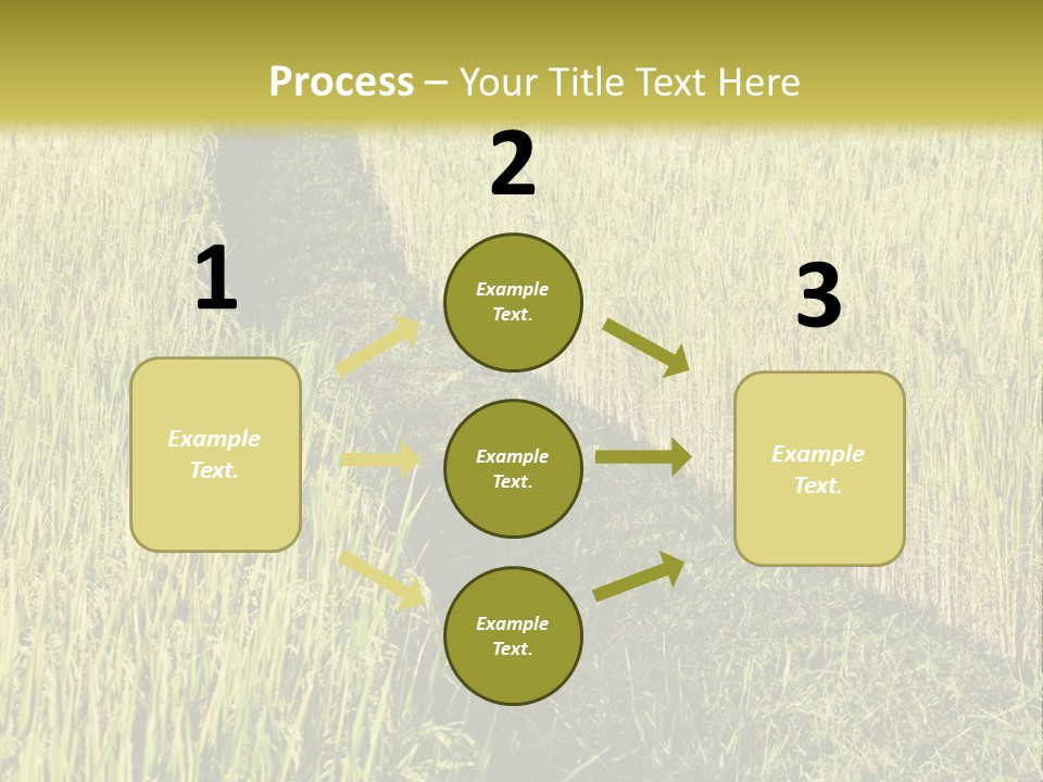 Patriotism Patriotic Green PowerPoint Template