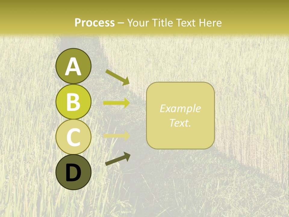 Patriotism Patriotic Green PowerPoint Template