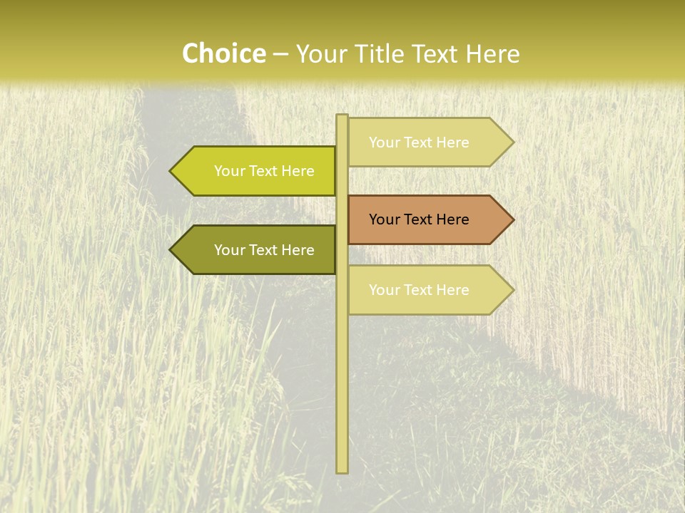 Patriotism Patriotic Green PowerPoint Template