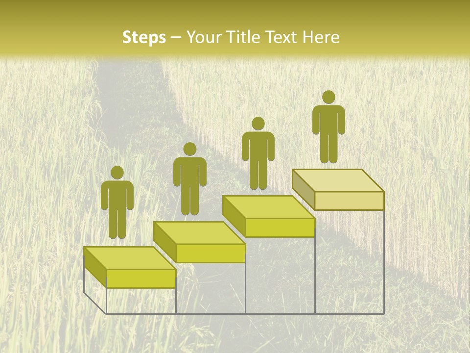 Patriotism Patriotic Green PowerPoint Template