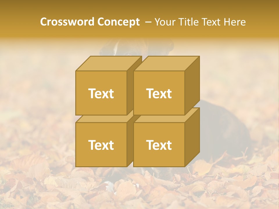 A Brown And White Dog Laying On Top Of A Pile Of Leaves PowerPoint Template