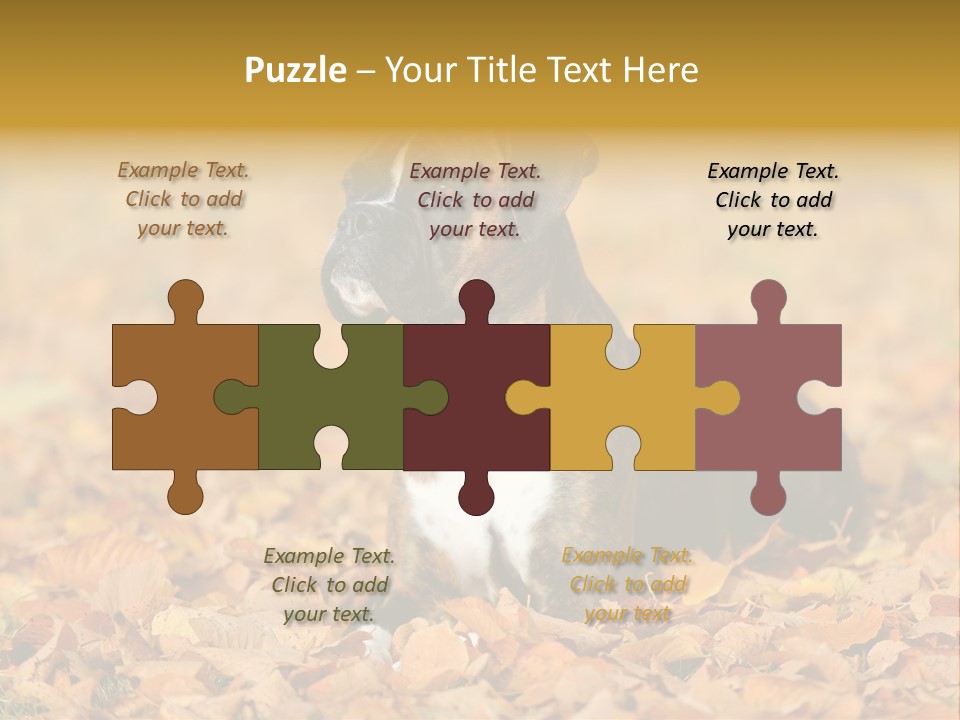 A Brown And White Dog Laying On Top Of A Pile Of Leaves PowerPoint Template