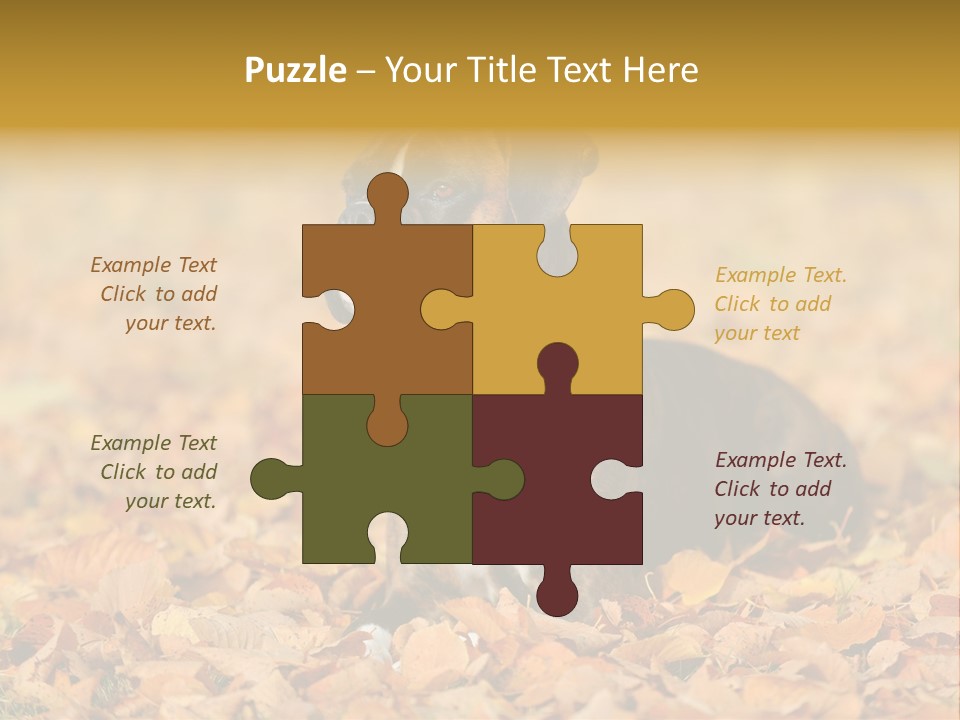 A Brown And White Dog Laying On Top Of A Pile Of Leaves PowerPoint Template