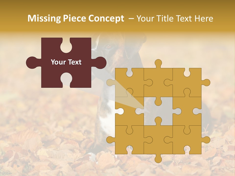 A Brown And White Dog Laying On Top Of A Pile Of Leaves PowerPoint Template