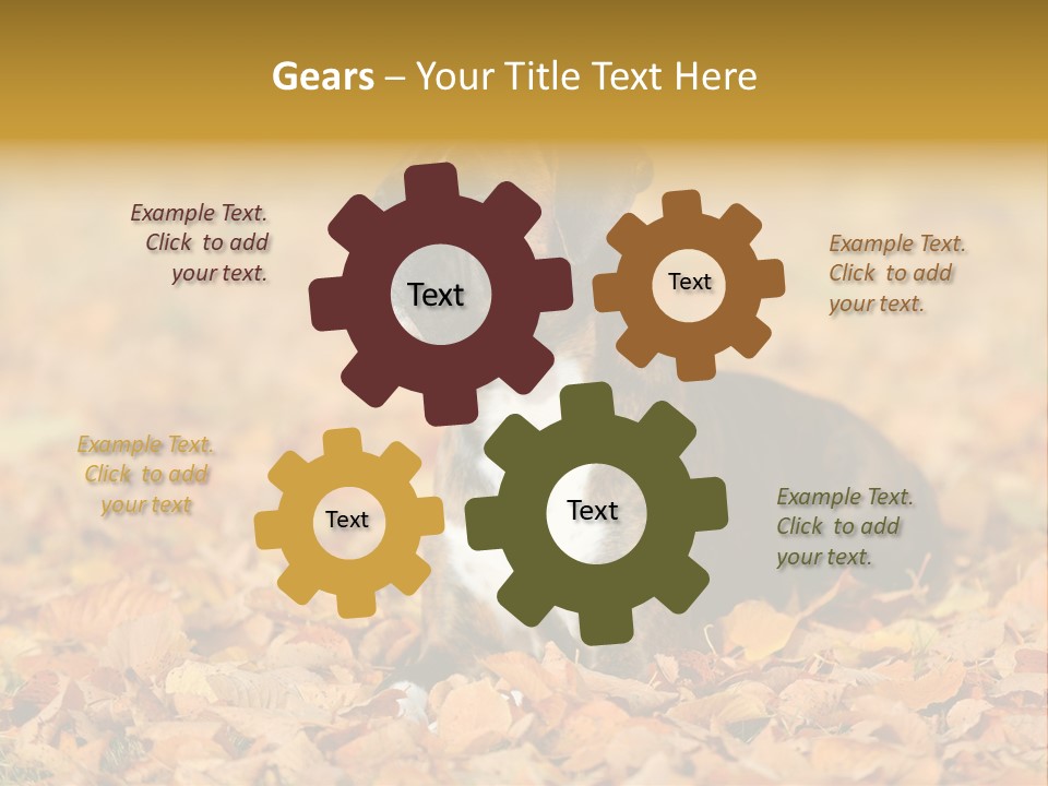 A Brown And White Dog Laying On Top Of A Pile Of Leaves PowerPoint Template