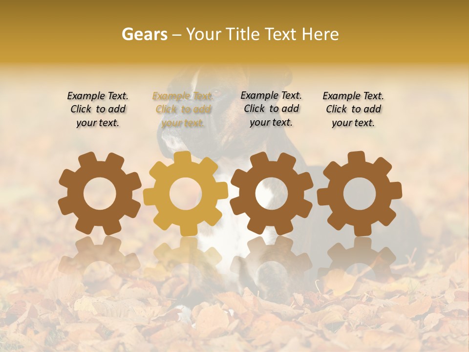 A Brown And White Dog Laying On Top Of A Pile Of Leaves PowerPoint Template