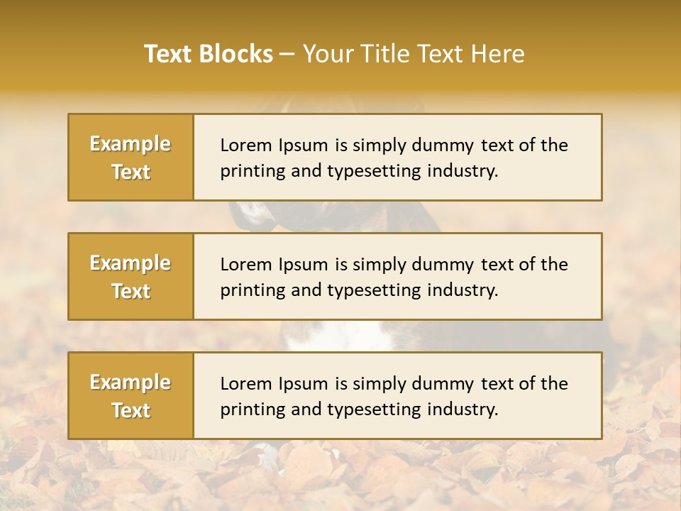 A Brown And White Dog Laying On Top Of A Pile Of Leaves PowerPoint Template