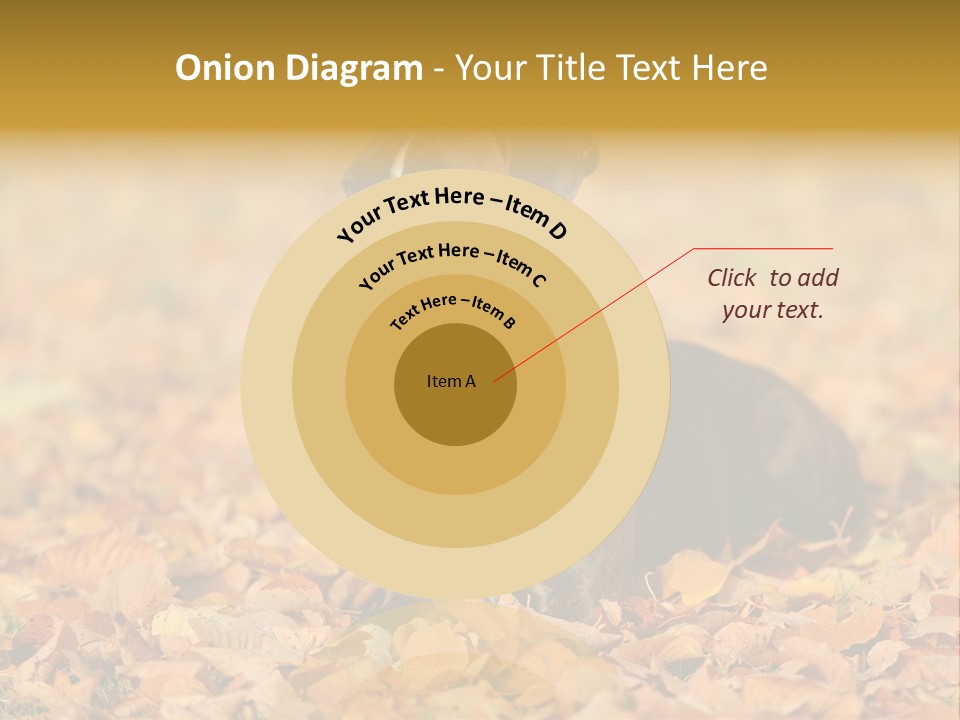 A Brown And White Dog Laying On Top Of A Pile Of Leaves PowerPoint Template