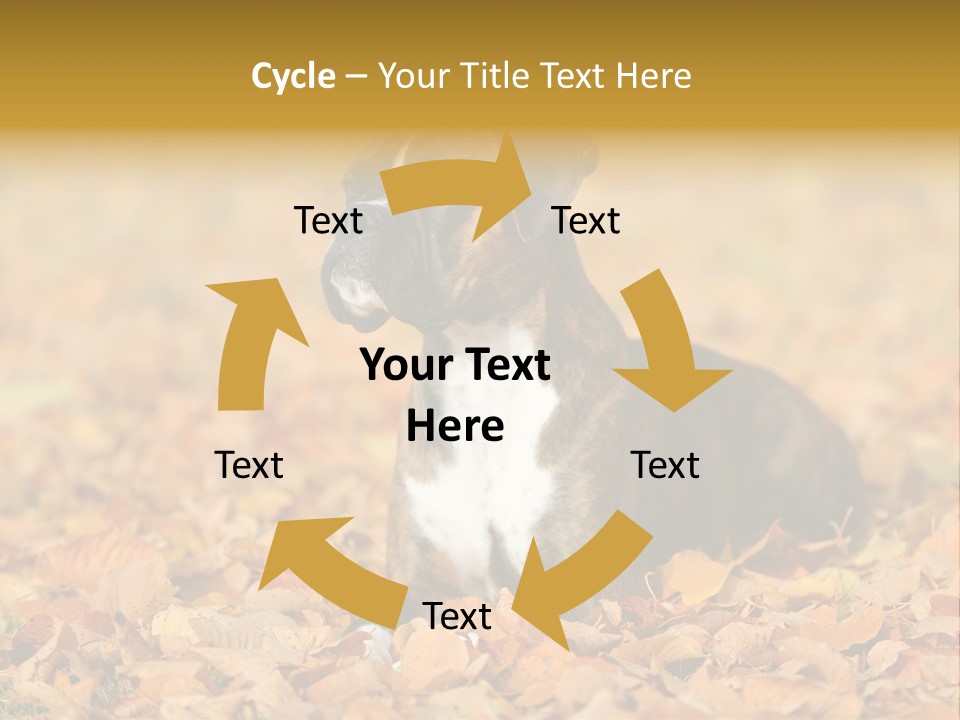 A Brown And White Dog Laying On Top Of A Pile Of Leaves PowerPoint Template