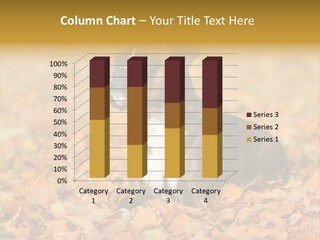 A Brown And White Dog Laying On Top Of A Pile Of Leaves PowerPoint Template