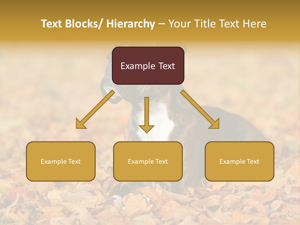 A Brown And White Dog Laying On Top Of A Pile Of Leaves PowerPoint Template