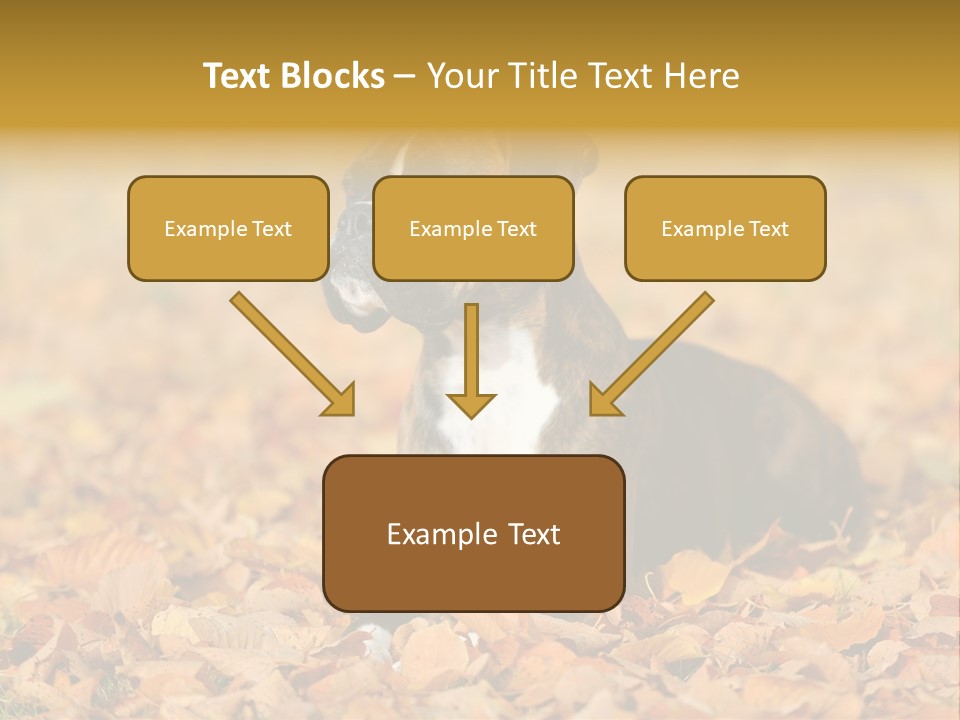 A Brown And White Dog Laying On Top Of A Pile Of Leaves PowerPoint Template