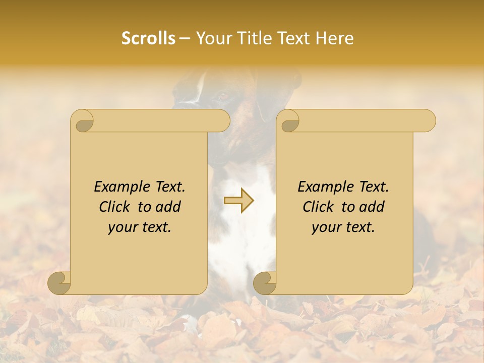 A Brown And White Dog Laying On Top Of A Pile Of Leaves PowerPoint Template