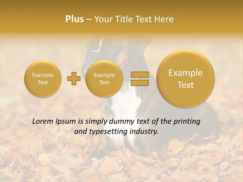 A Brown And White Dog Laying On Top Of A Pile Of Leaves PowerPoint Template