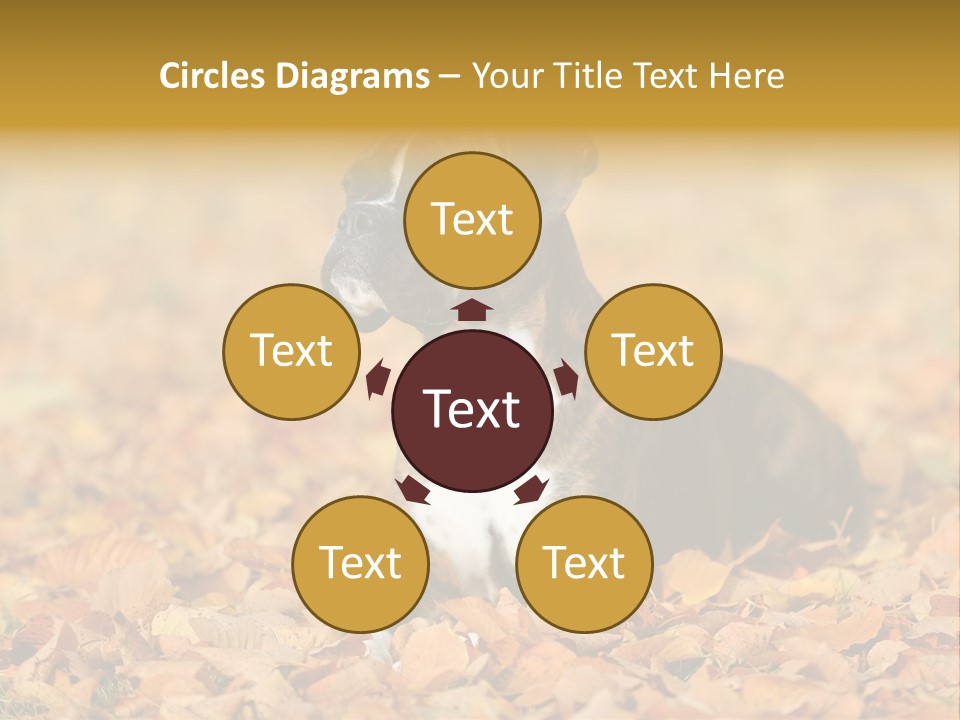 A Brown And White Dog Laying On Top Of A Pile Of Leaves PowerPoint Template