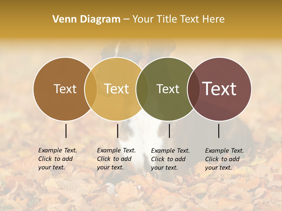 A Brown And White Dog Laying On Top Of A Pile Of Leaves PowerPoint Template